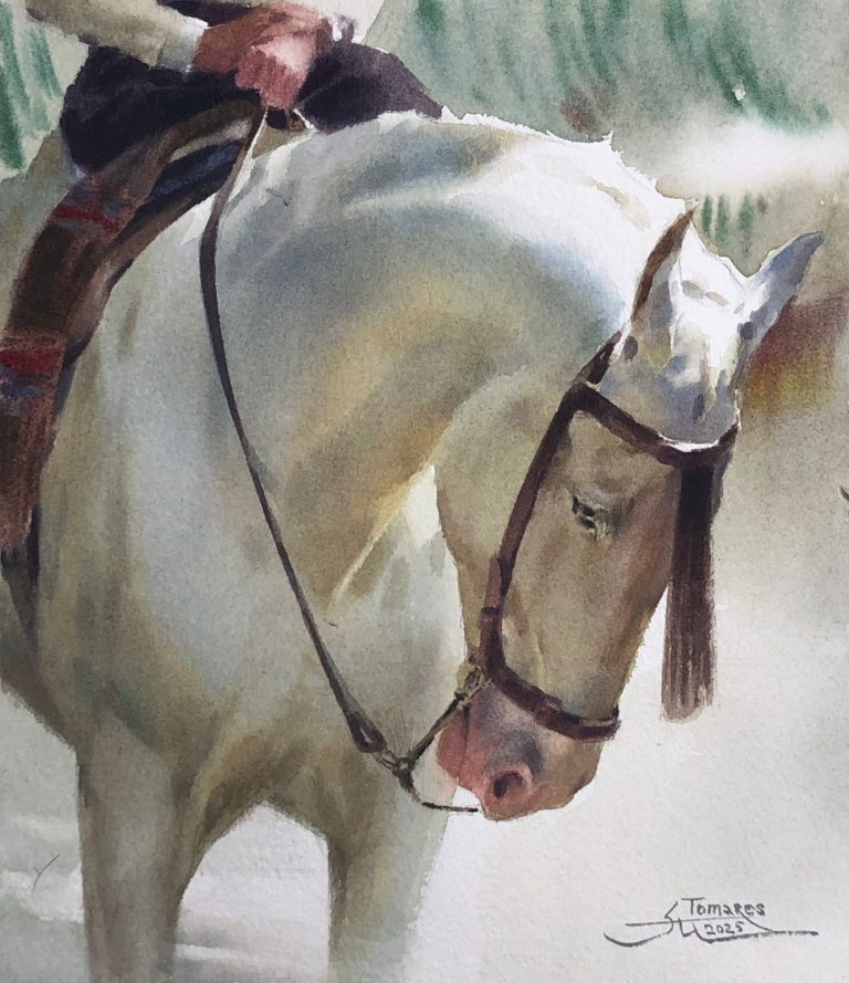 Caballo Blanco en Acuarela con Anna Ivanova